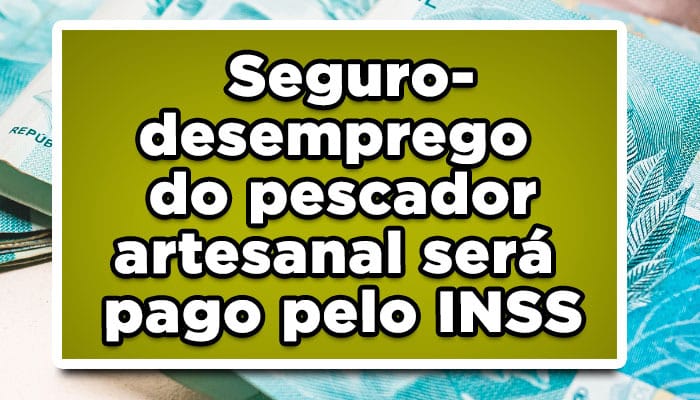 Guia Completo sobre o Seguro Desemprego do Pescador Artesanal: Direitos e Procedimentos