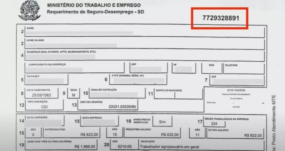 O que fazer se não recebi o requerimento do seguro desemprego: guia completo