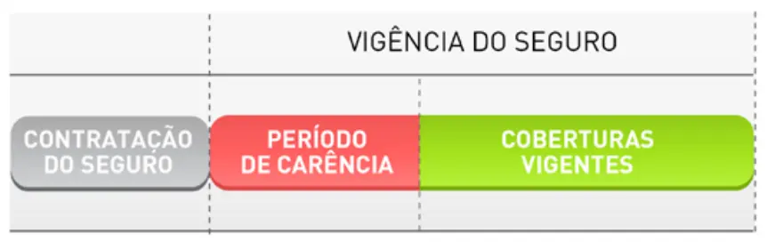 Seguro de Vida com Carência: O Que Você Precisa Saber